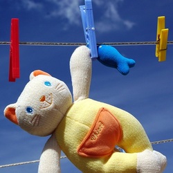 Пазл: Игрушечный кот