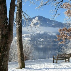 Пазл: Прекрасный вид