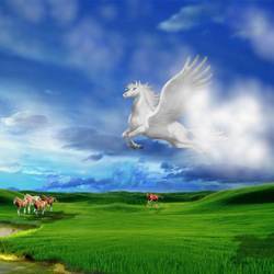 Пазл: В небесах и на земле