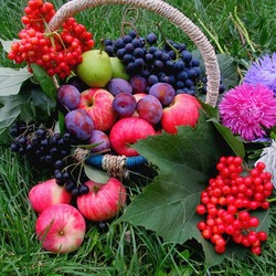 Пазл: В конце лета