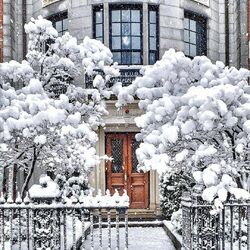 Пазл: Сказочная зима