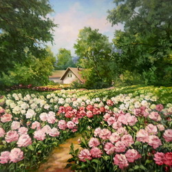 Пазл: Плантация пионов