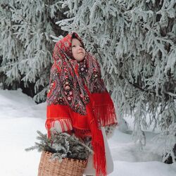 Пазл: Еловые ветки  в корзинке