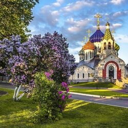 Пазл: Куст сирени у храма