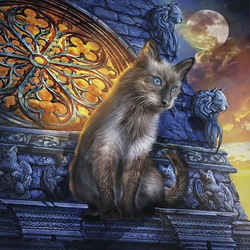 Пазл: Мир кошек