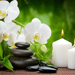 Пазл: Релакс