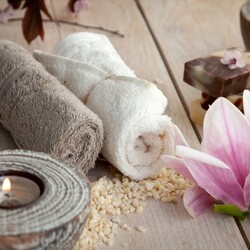 Пазл: Спа-магнолия