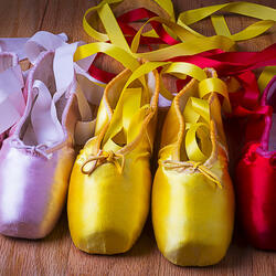 Пазл: Пуанты