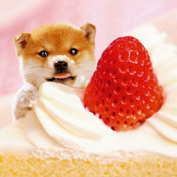 Пазл: Сладкая клубничка