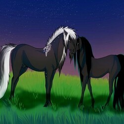 Пазл: Звездный час