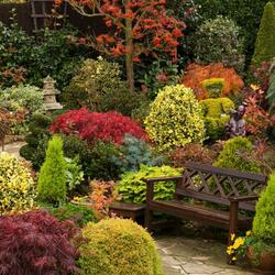 Пазл: Скамейка в осеннем саду