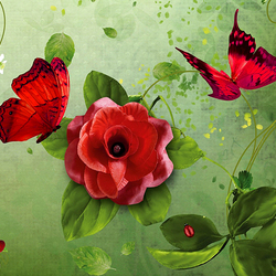 Пазл: Цветы и бабочки