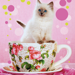 Пазл: Кружечка