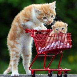 Пазл: За покупками