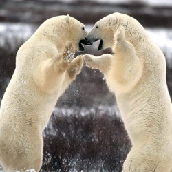 Пазл: Объяснение в чувствах