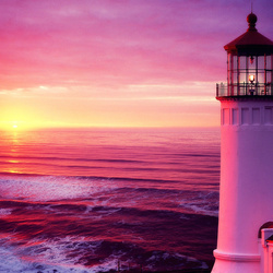 Пазл: Розовый рассвет