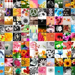 Пазл: Цветы