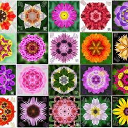 Пазл: Мозаика