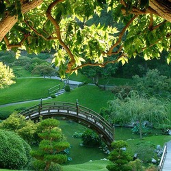 Пазл: Мостик в парке