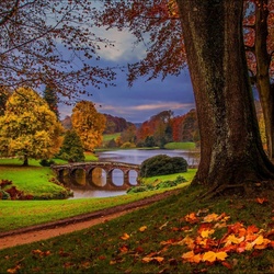 Пазл: Осень