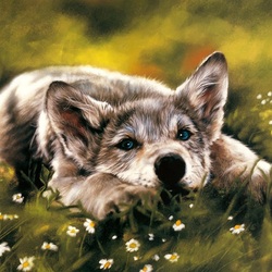 Пазл: Волчонок