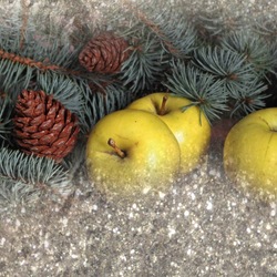 Пазл: Яблоки на снегу