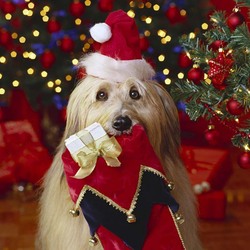 Пазл: Подарок для тебя