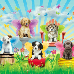 Пазл: Разве мы не феечки?