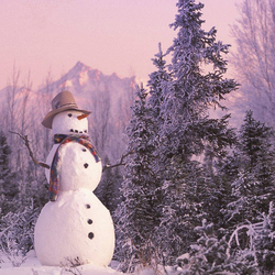 Пазл: Радость снеговика