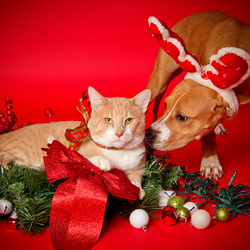 Пазл: Подготовка к Новому  году