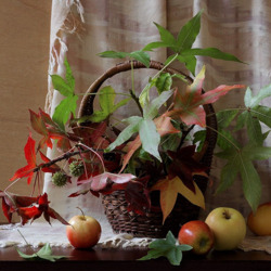 Пазл: Натюрморт