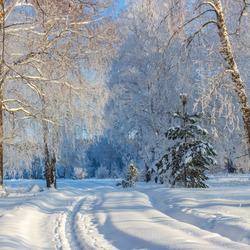 Пазл: Снежная дорога