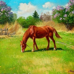 Пазл: Рыжий конь