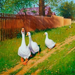 Пазл: Гуси