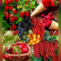 Пазл: Ягодный
