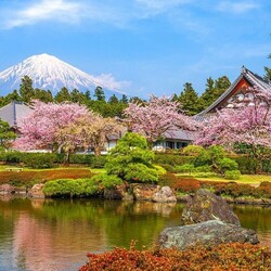 Пазл: Японский парк