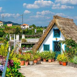 Пазл: Сантана