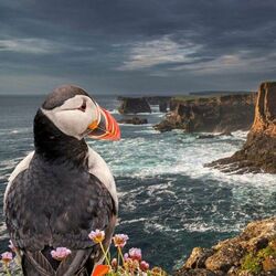 Пазл: Бурное море