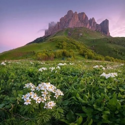 Пазл: Адыгея