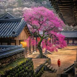 Пазл: Монастырский двор