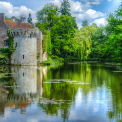 Пазл: Скотни