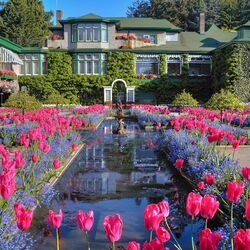 Пазл: Сады Бутчартов