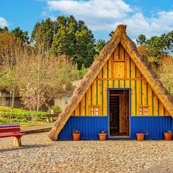 Пазл: Сантана