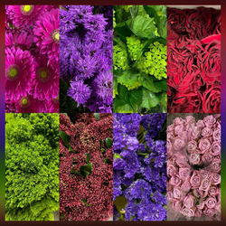 Пазл: Коллаж цветов