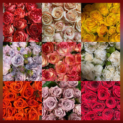 Пазл: Розы