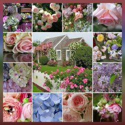 Пазл: Дом среди цветов