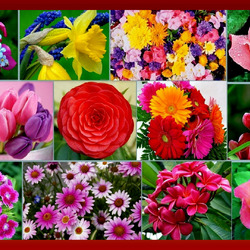 Пазл: Буйство цветов