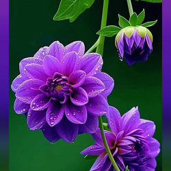 Пазл: Веточка георгин