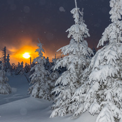 Пазл: Зимний закат