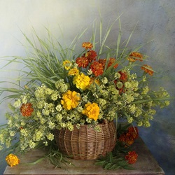 Пазл: Солнечные бархатцы